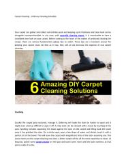 Carpet Cleaning.docx